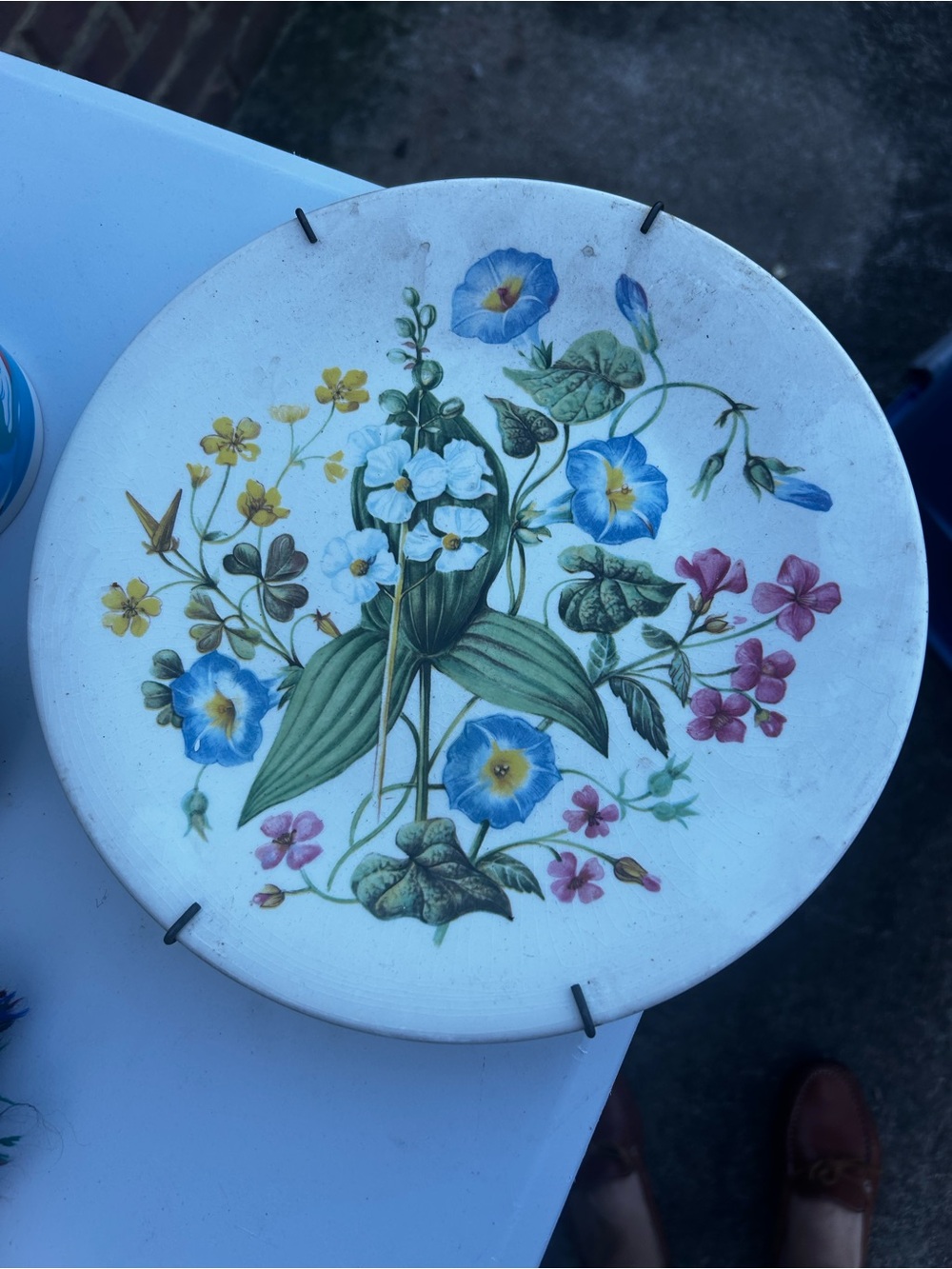 VTG Wedgwood Blue and Green Morning Glory Botanical Plate